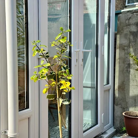 Holly Tree Holiday home York